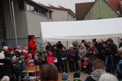 bild15