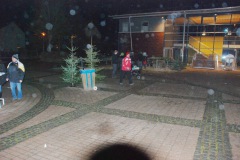 bild24