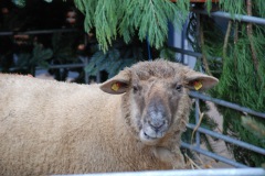 bild4