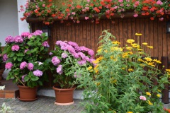 20250726_blumenschmuck-03