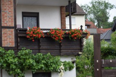 20250726_blumenschmuck-07