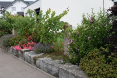 20250726_blumenschmuck-09