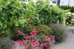 20250726_blumenschmuck-10