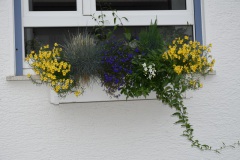 20250726_blumenschmuck-11