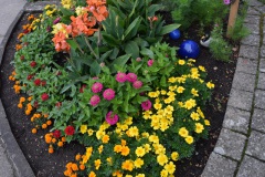 20250726_blumenschmuck-14