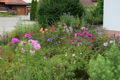 20250726_blumenschmuck-17