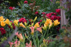 20250726_blumenschmuck-19